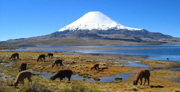 Parinacota Trekking Peak