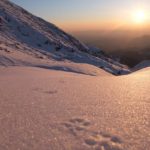 Night Hiking in the Italian Alps