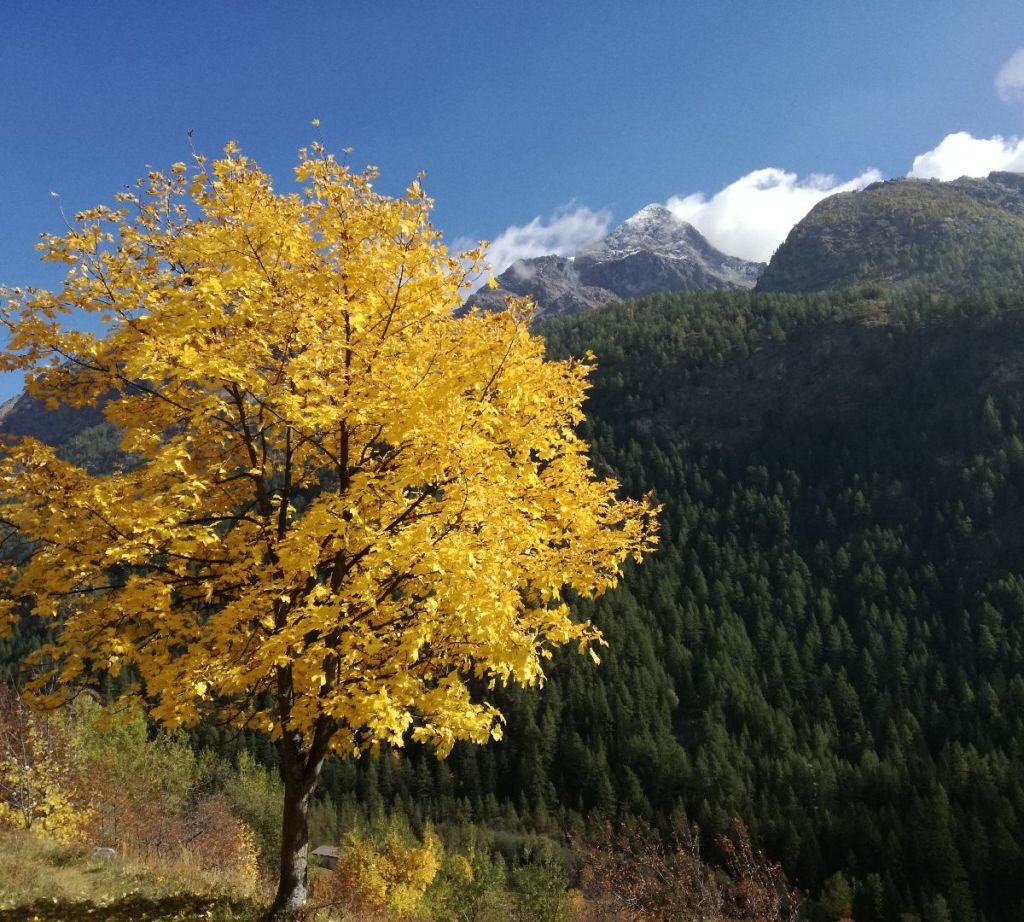 When is good time of the year to Hike in the Alps? 3