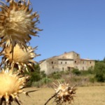The Beauty: Tuscany and trekking in the Alps