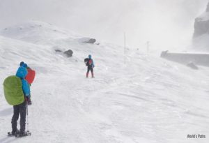 Wild Winter Snowshoeing