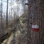 Santa Cristina Sanctuary - Daily Hike from Torino