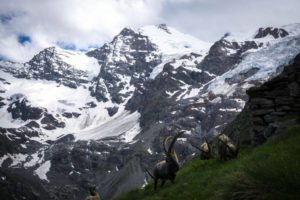 Sunrise at Gran Paradiso - Leonessa Hut