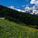 Marriage proposal from NY to Mont Blanc!