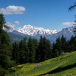 Marriage proposal from NY to Mont Blanc!