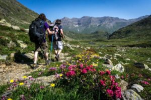 Wild Gran Paradiso Hike