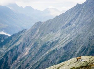 Gran Paradiso Easy Trek