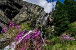 Gran Paradiso Easy Trek