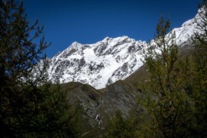 Hike the Alps all year round!