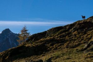 Hiking in Autumn in Italy