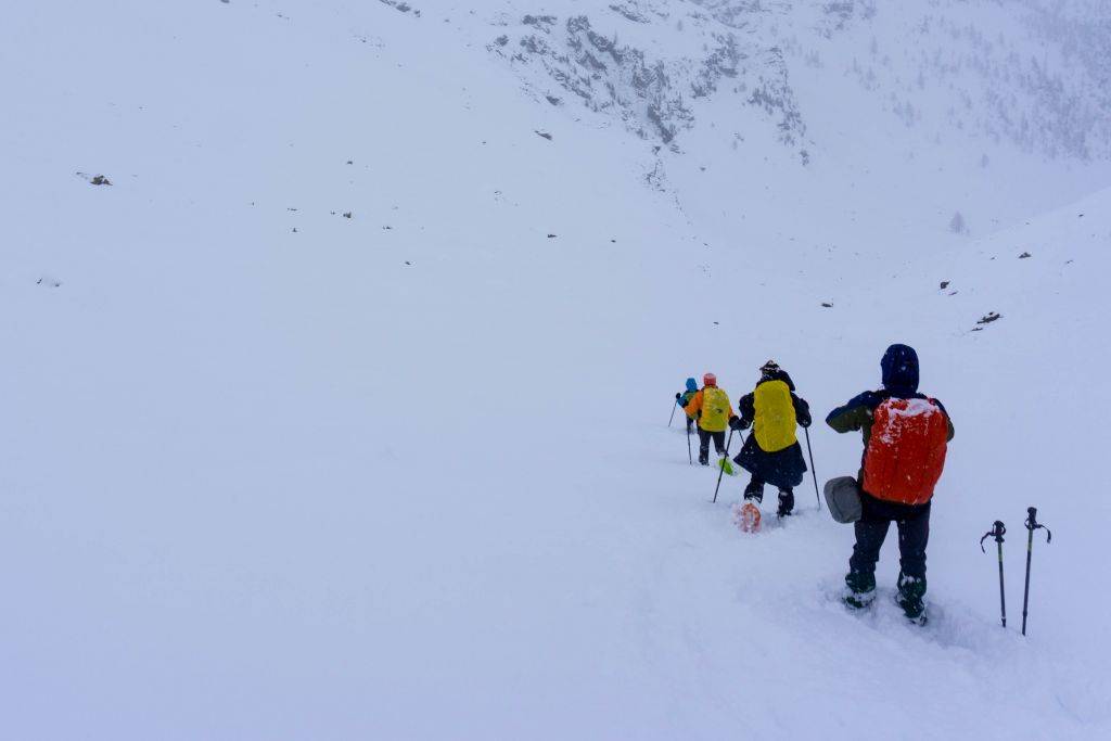 Winter Adventure in the Alps