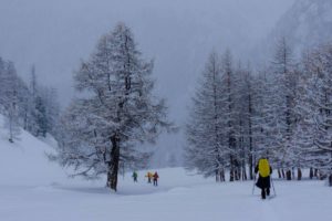 Winter Adventure in the Alps