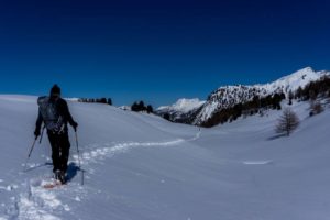 Alps Hiking tours: again and again!