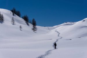 Alps Hiking tours: again and again!