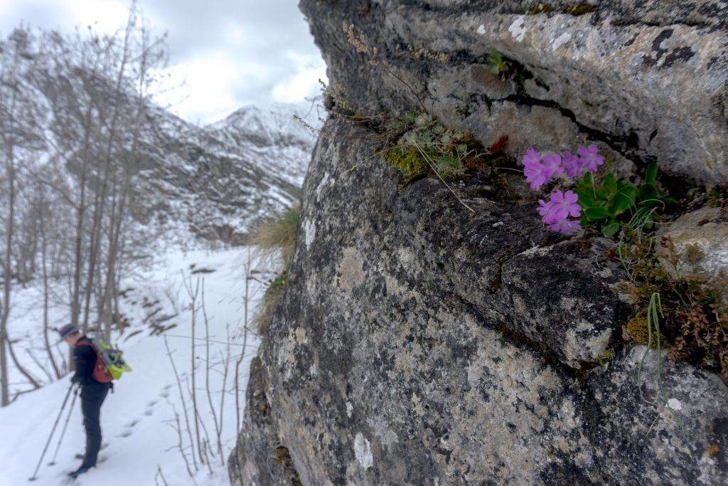 Trekking in May in Italy