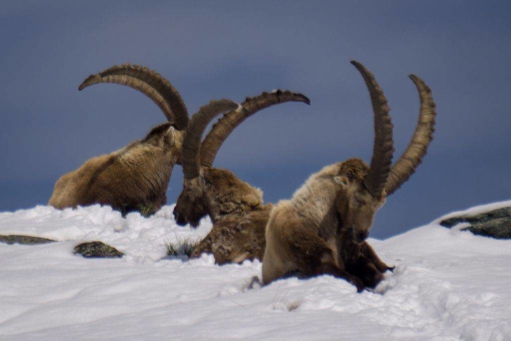 Trekking in May in Italy