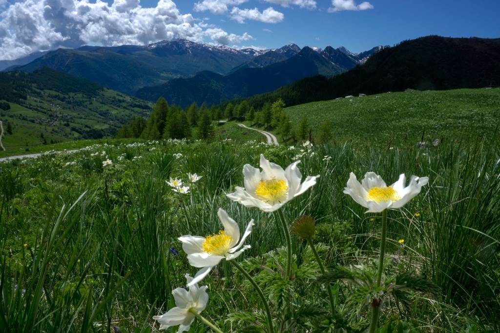 Spring hike in Italy