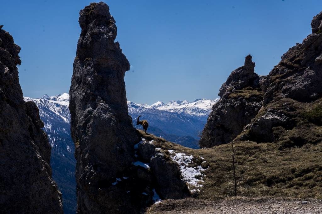 Thullie Hole - Spring Day Hike from Torino