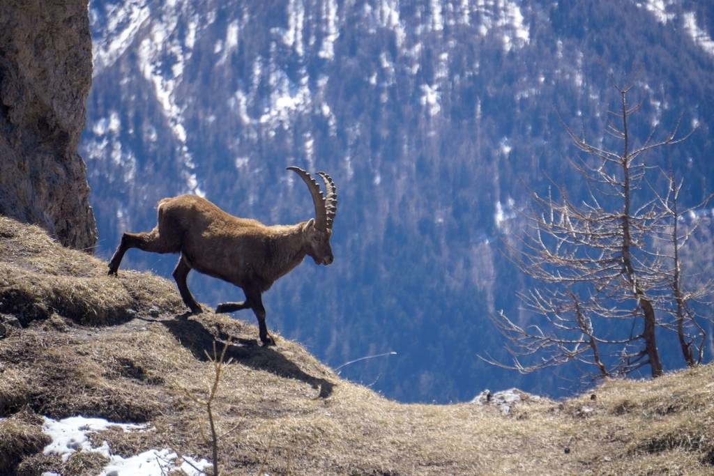 Thullie Hole - Spring Day Hike from Torino - Trekking Alps