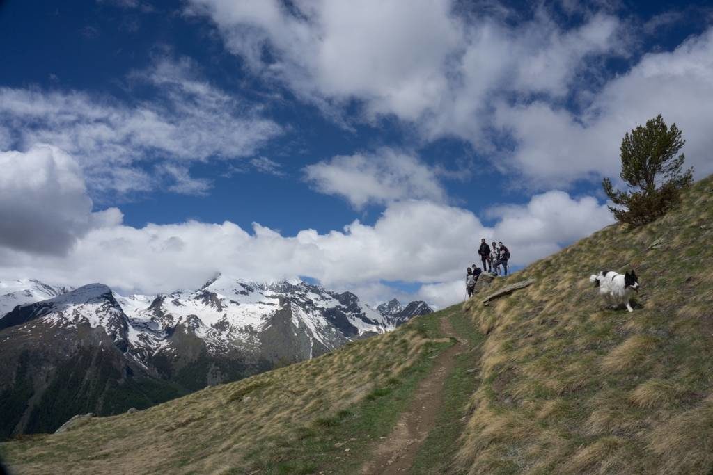 From the Desert to the Alps