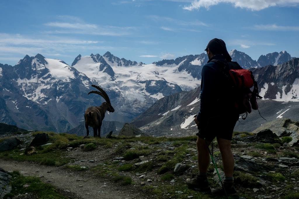 Gran Paradiso Trekking Tour