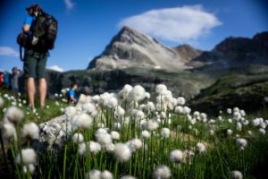 Val Maira 2 Days Trek