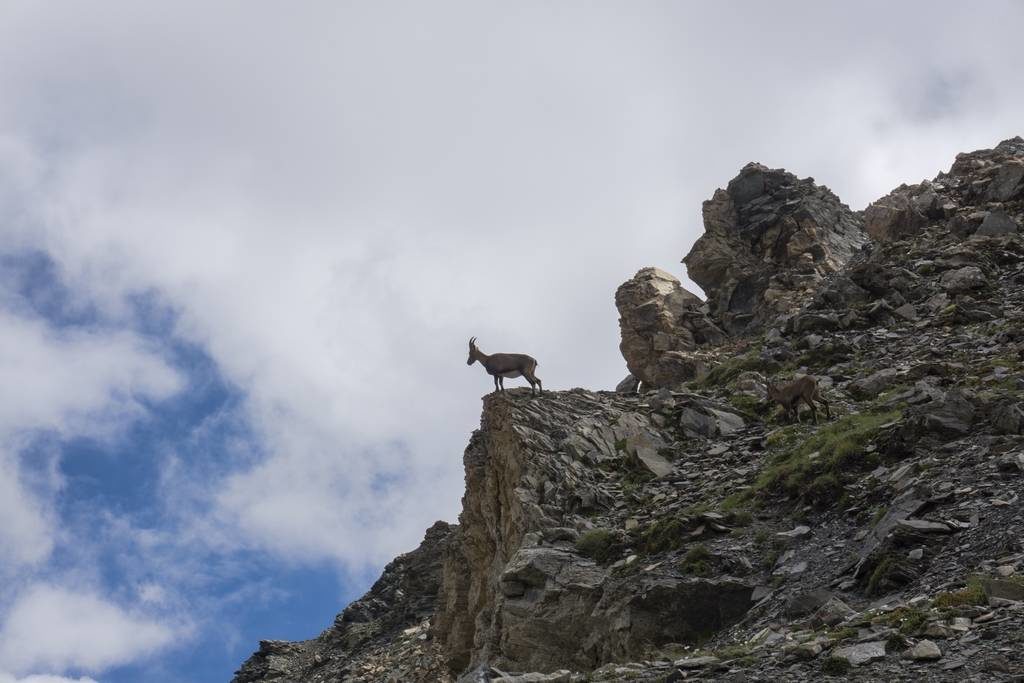 Inn to Inn Trekking in Italy