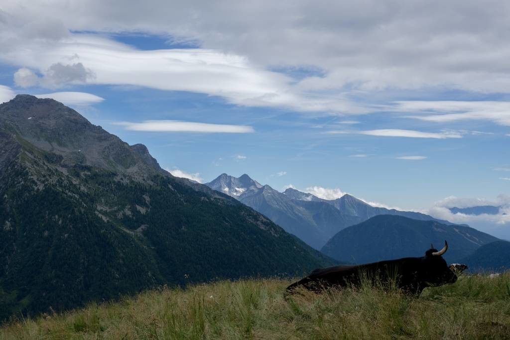 Inn to Inn Trekking in Italy