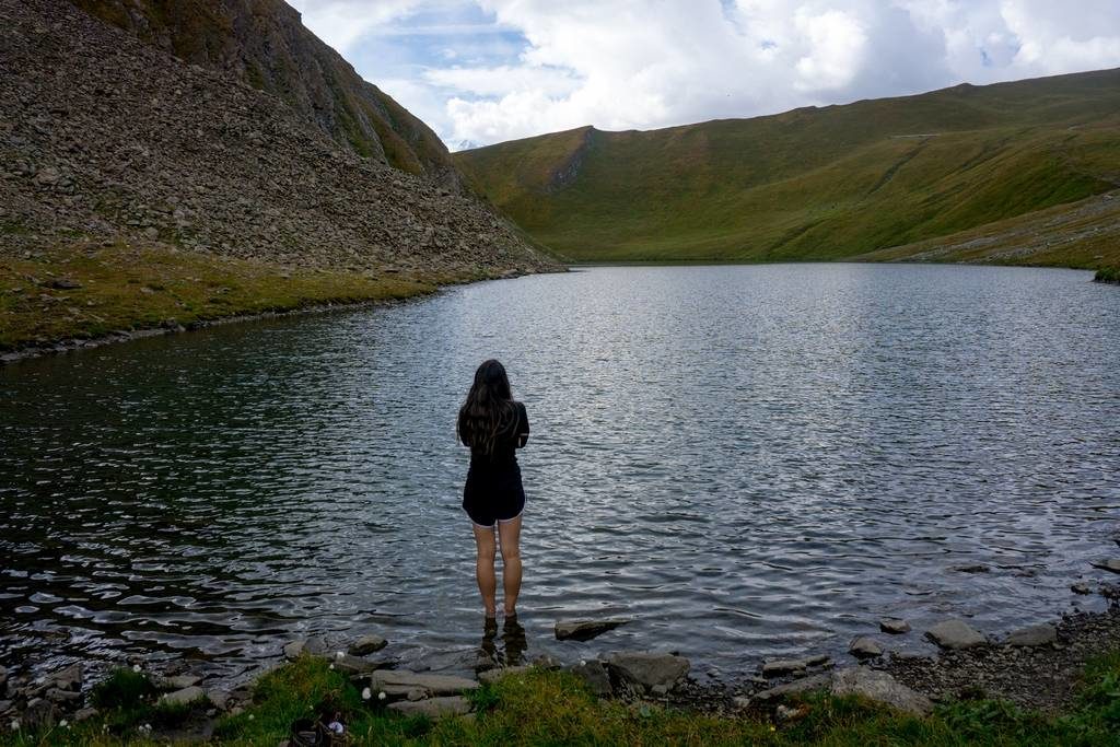 Wondering in the Alps