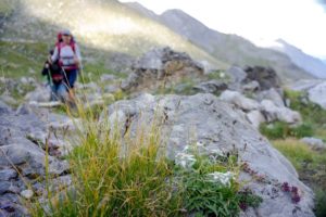 Val Maira 3 Days Hike