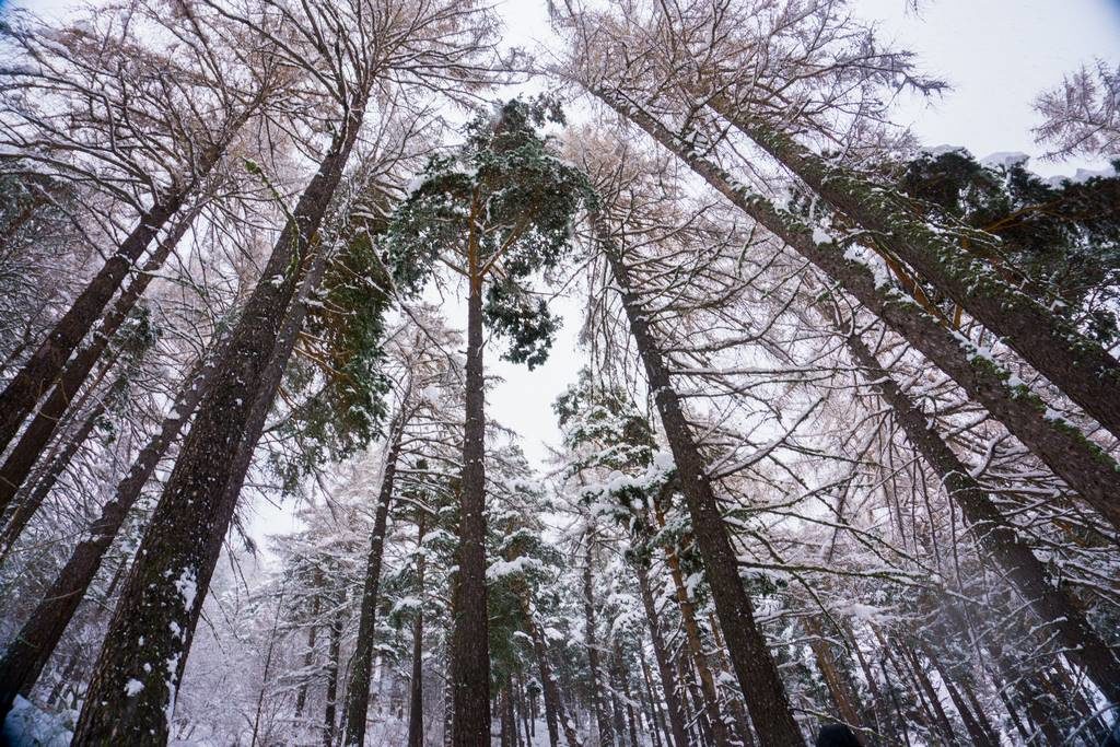 Winter Hikes in the Italian Alps