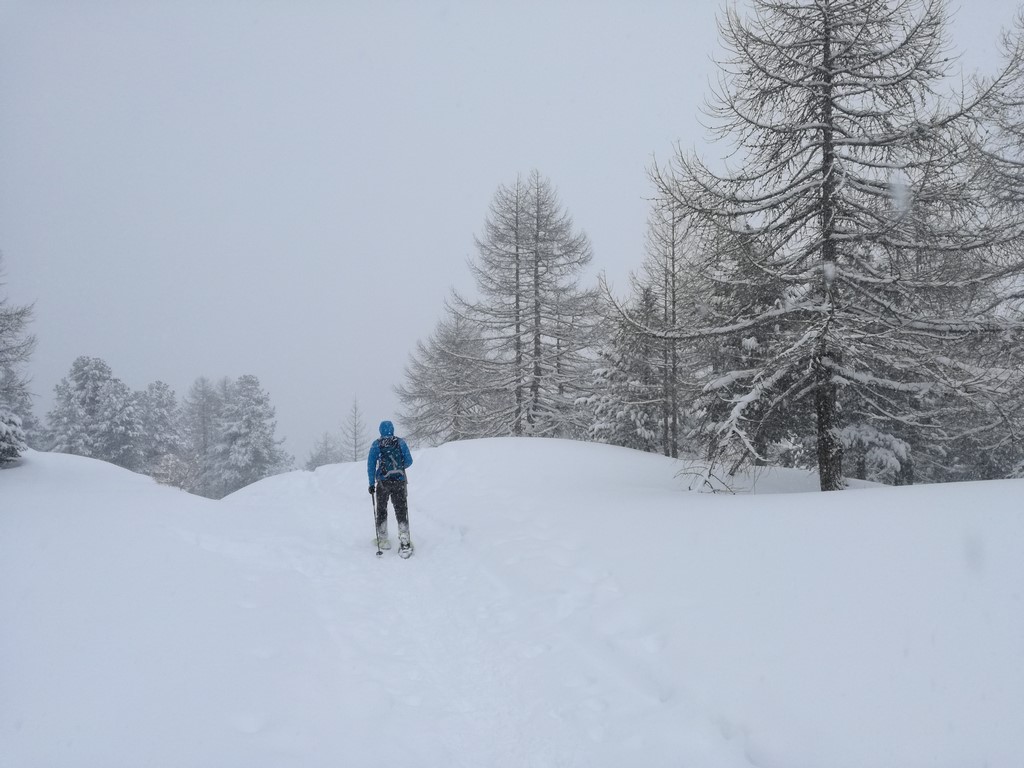 Heavy snow Day Trek from Torino