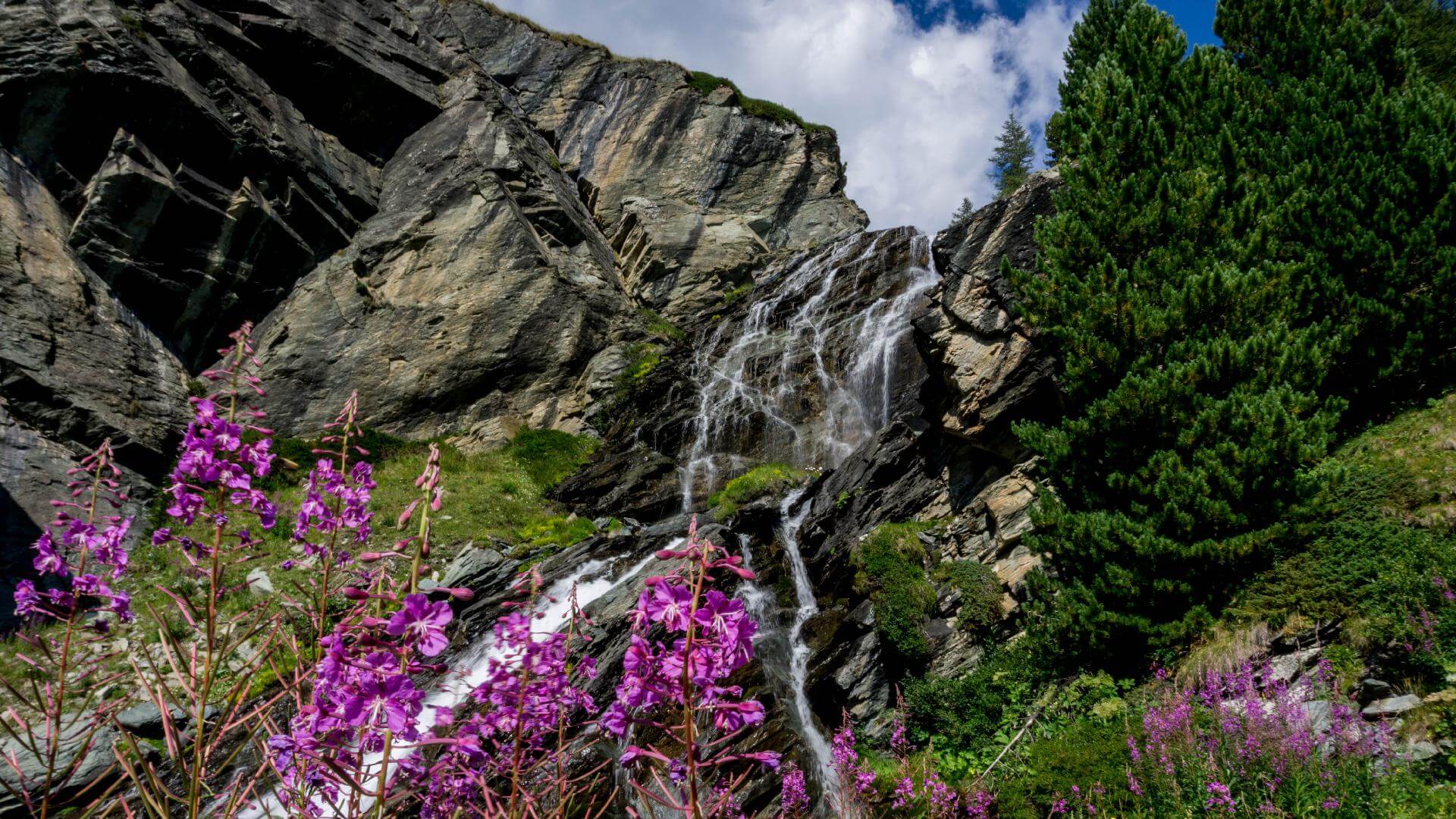 mongioie mediterranean trek