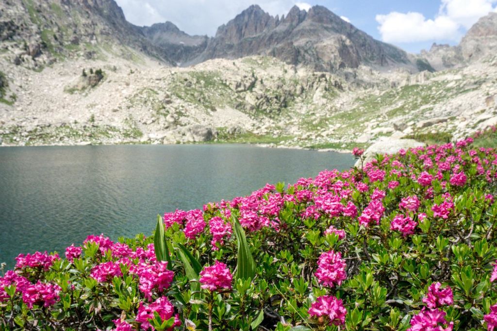 Maritime Summer and Spring Hike