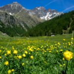 Self Guided Hikes, Guided Treks and Assisted Hikes