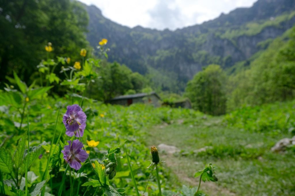 Waterfall trek in the Alps 5