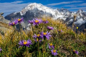 Tailor Made Tour of Mont Blanc