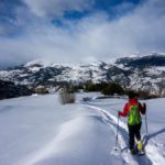 The Importance of Snow