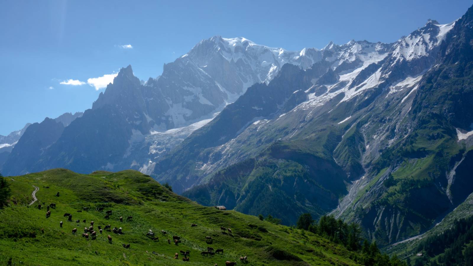 Italian Alps - Monte Bianco Header