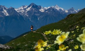 trekking alps hiking tours in Italy