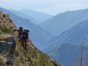 Valgrande Wilderness Survival 1
