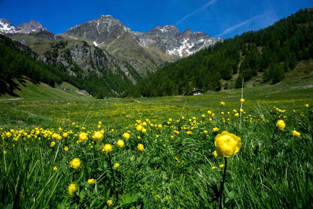 Aosta Valley Hiking Paradise: sidevalley are remote!