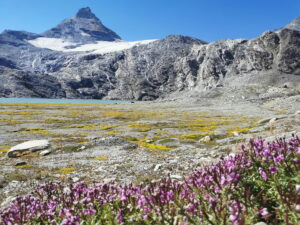 gran paradiso hut to hut lake