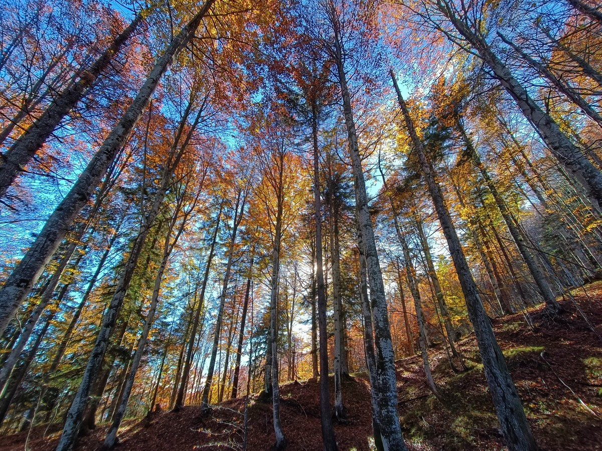 dolomites trekking alps fall