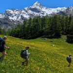 overtourism in the alps can be easily beaten