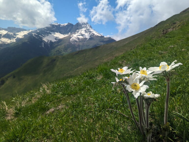 Val Maira - alternatives to the dolomites - june