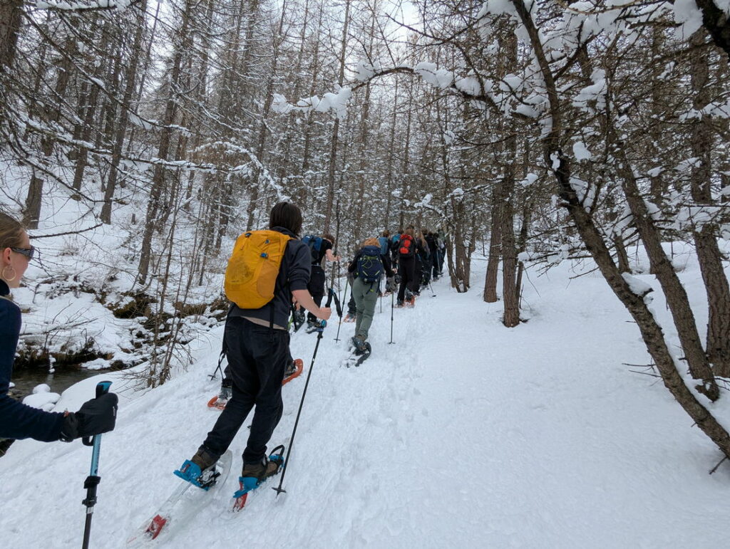 Organizing a School Trip in the Alps