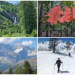 When to Hike in the Alps: a Seasonal Guide