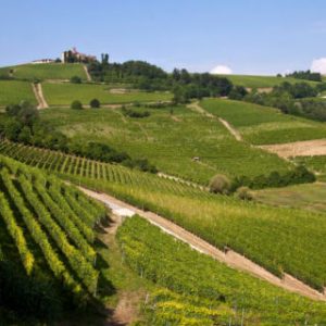 langhe